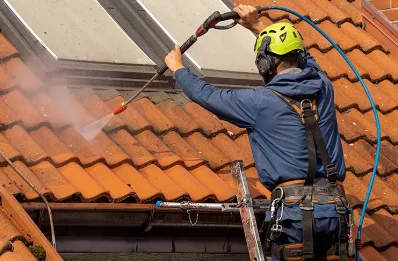 Démoussage et hydrofuge de toiture à Tartaras